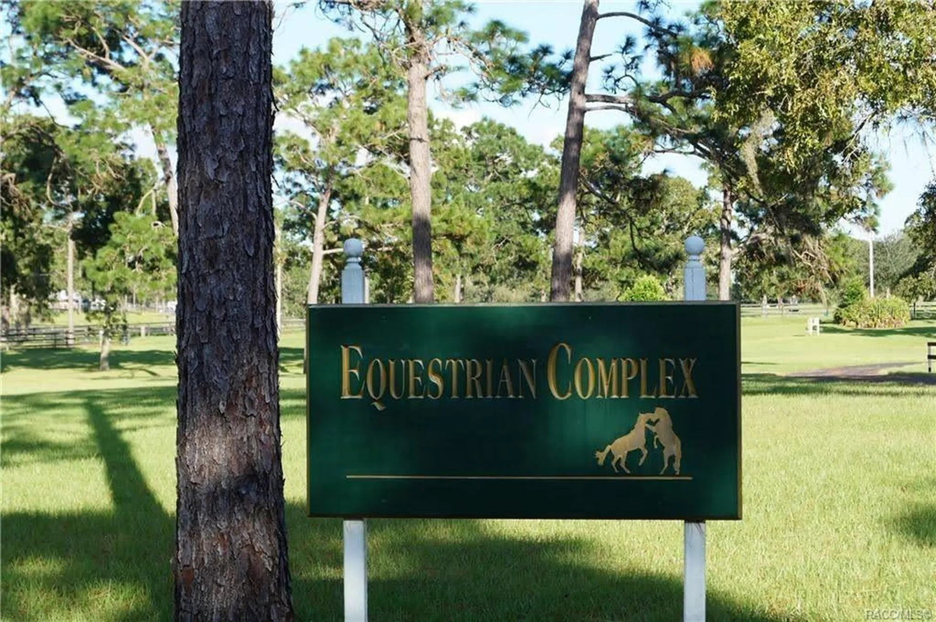 4976 W Yearling Drive Beverly Hills FL 34465