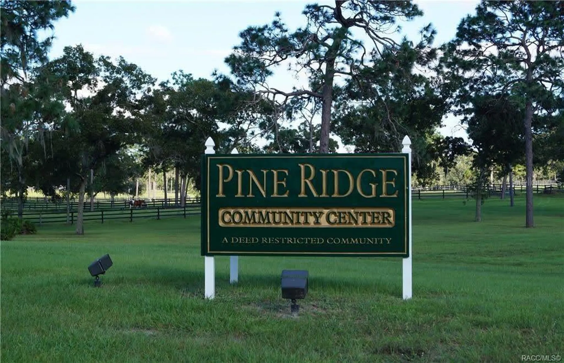 4976 W Yearling Drive Beverly Hills FL 34465