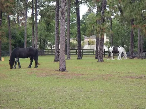 4976 W Yearling Drive Beverly Hills FL 34465