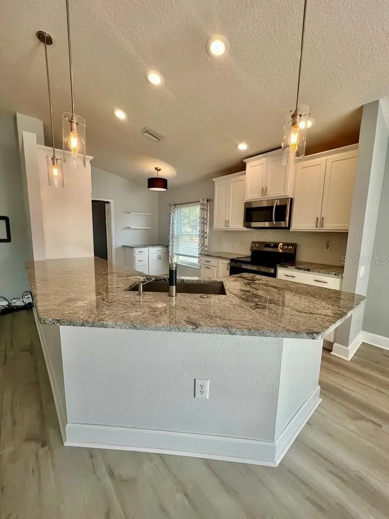 25330 Flying Ebony Lane Wesley Chapel FL 33544