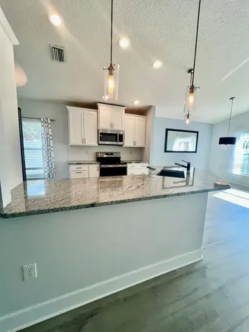 25330 Flying Ebony Lane Wesley Chapel FL 33544