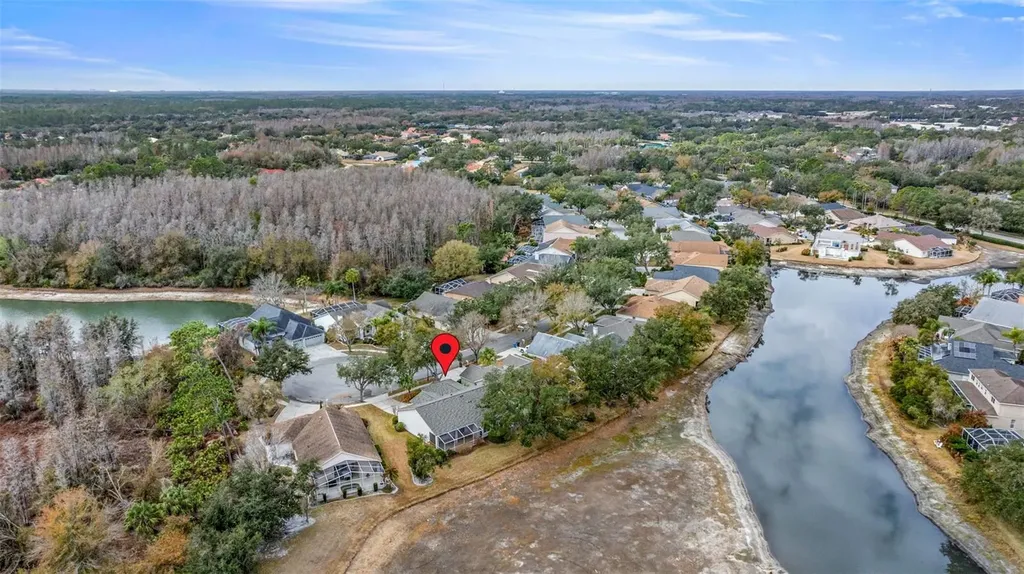 10246 Timberland Point Drive Tampa FL 33647