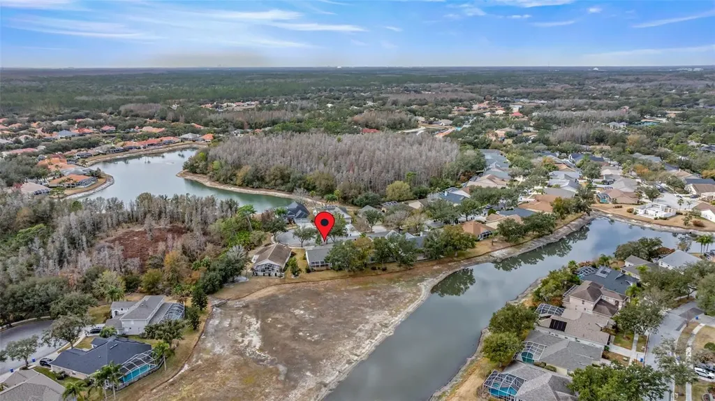 10246 Timberland Point Drive Tampa FL 33647