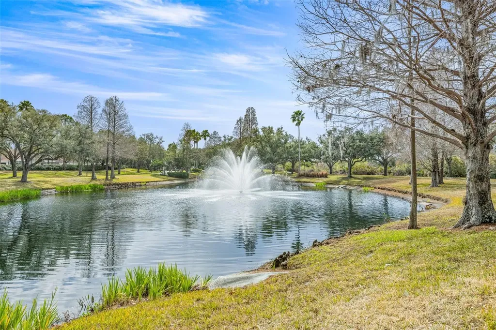 10246 Timberland Point Drive Tampa FL 33647