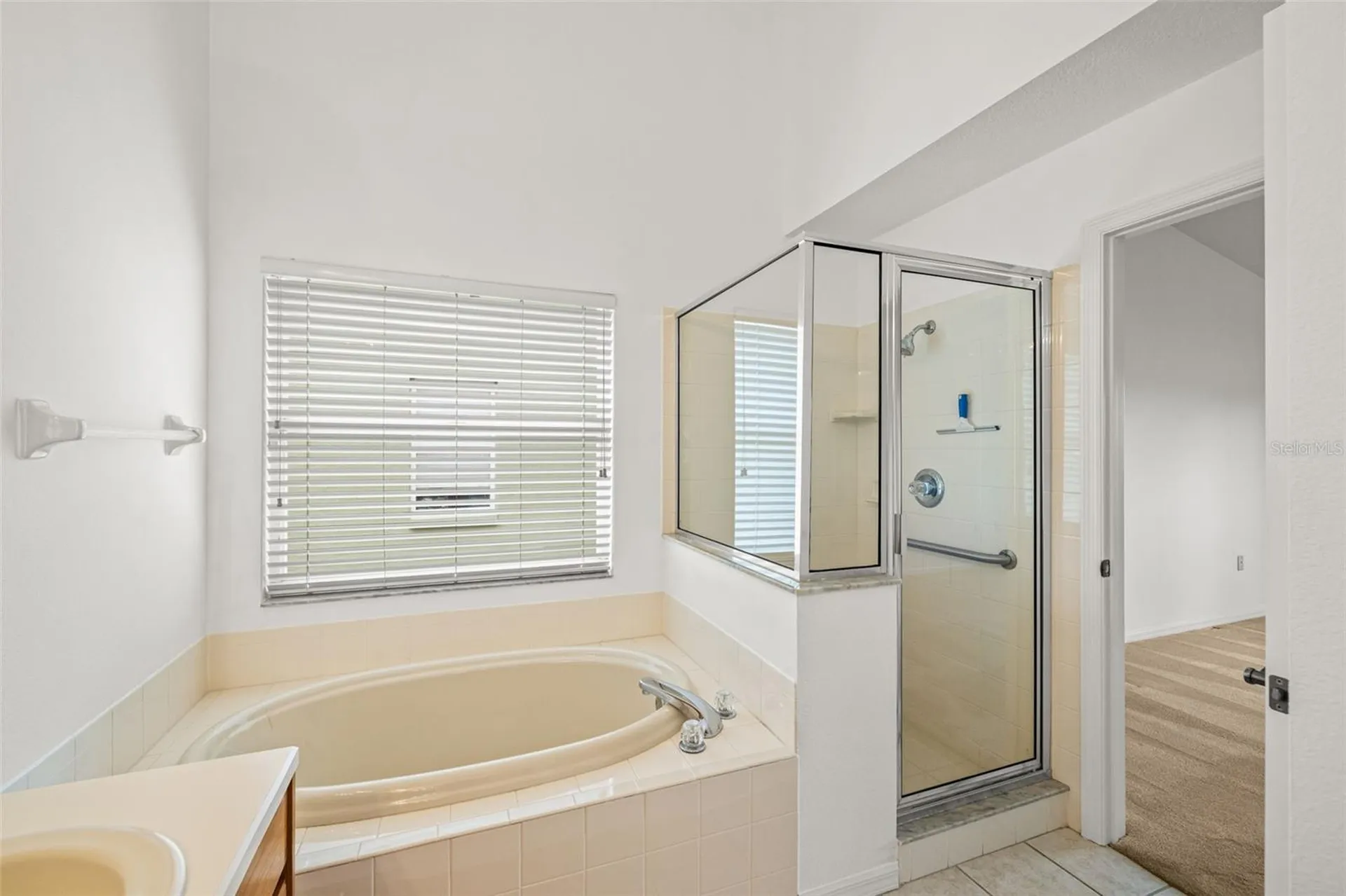10246 Timberland Point Drive Tampa FL 33647