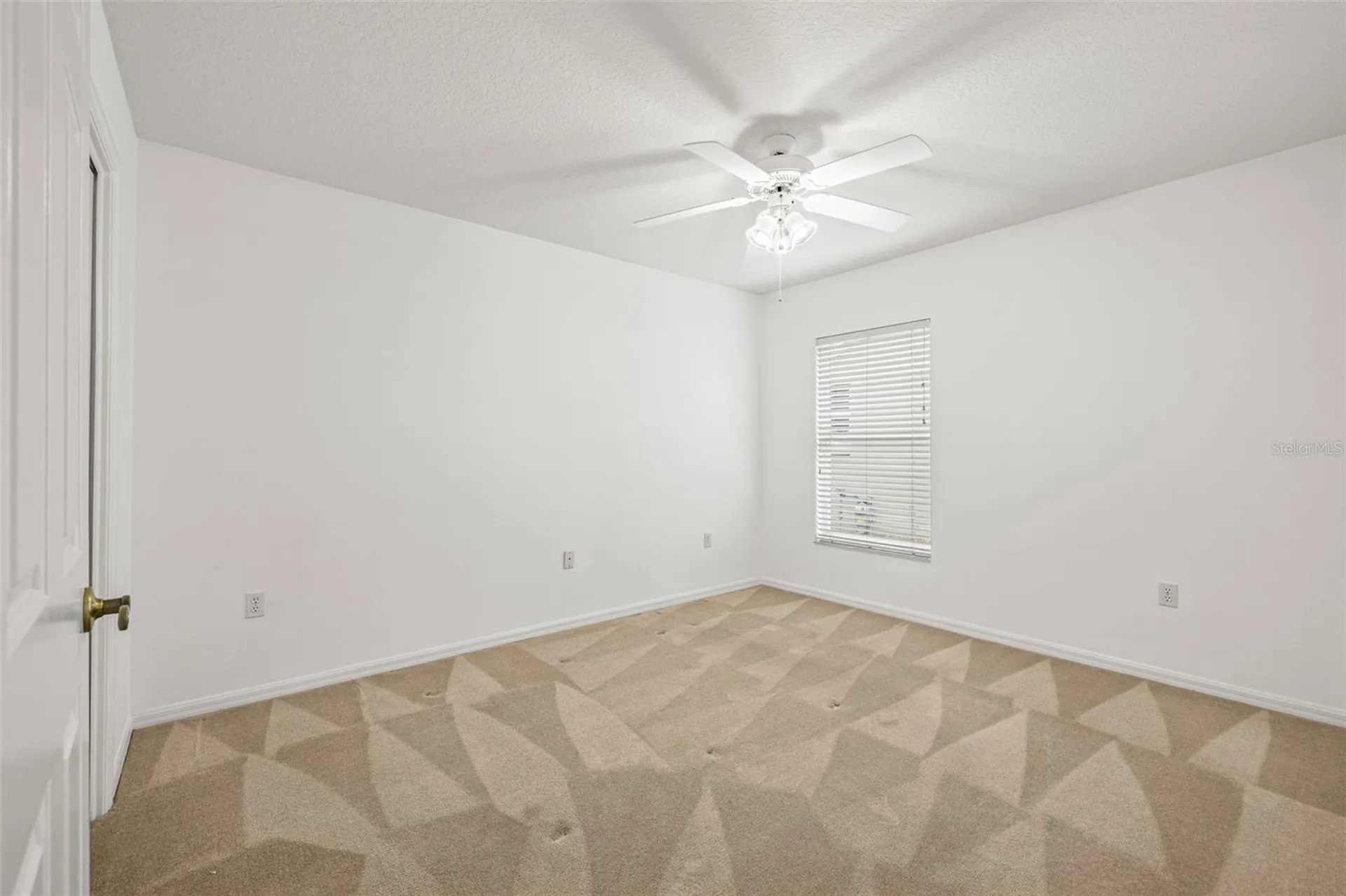 10246 Timberland Point Drive Tampa FL 33647