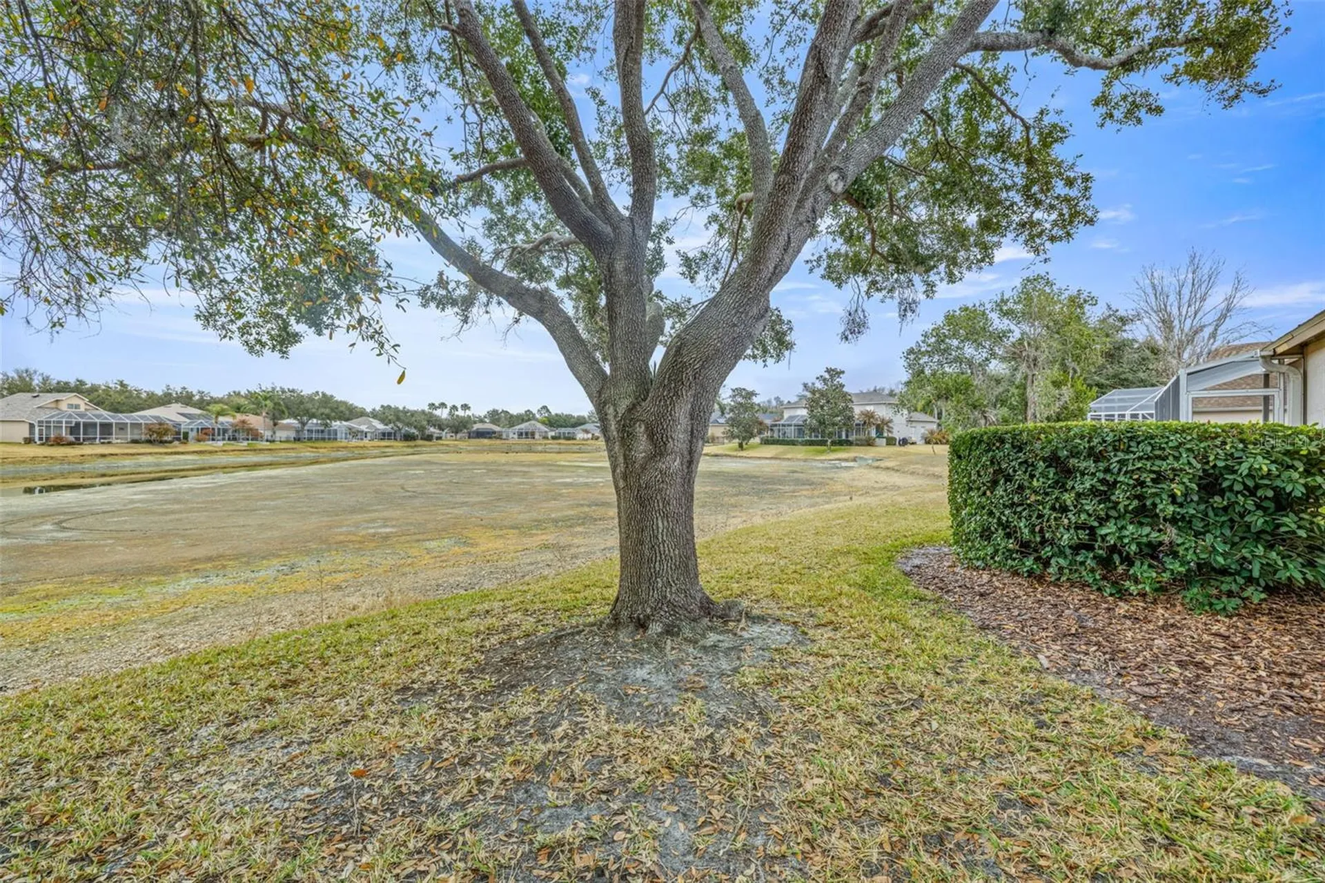 10246 Timberland Point Drive Tampa FL 33647