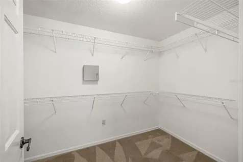 10246 Timberland Point Drive Tampa FL 33647