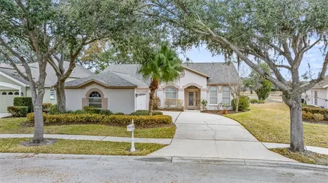 10246 Timberland Point Drive Tampa FL 33647