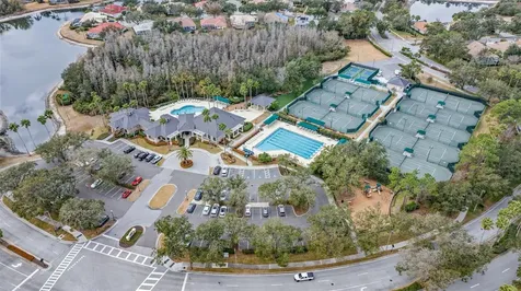 10246 Timberland Point Drive Tampa FL 33647