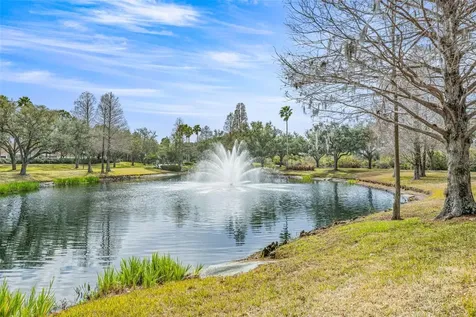10246 Timberland Point Drive Tampa FL 33647