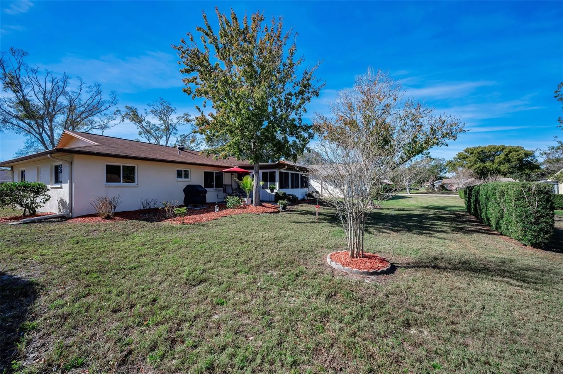 2968 Macalpin Drive N Palm Harbor FL 34684