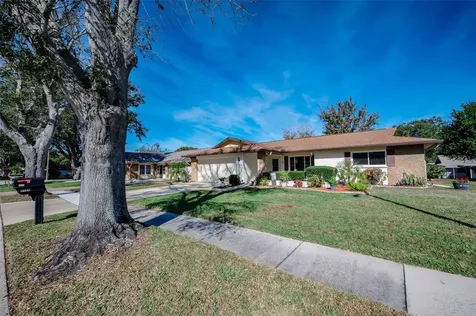 2968 Macalpin Drive N Palm Harbor FL 34684