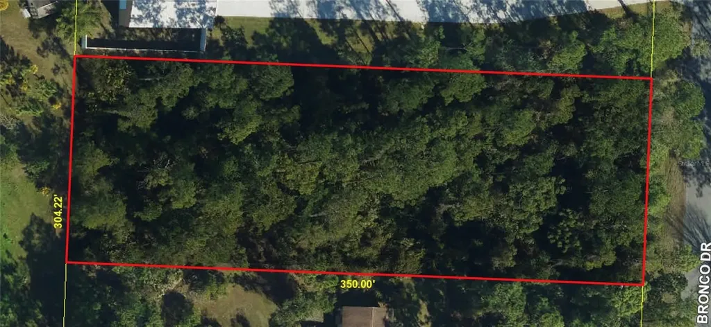 2340 Bronco Drive St Cloud FL 34771