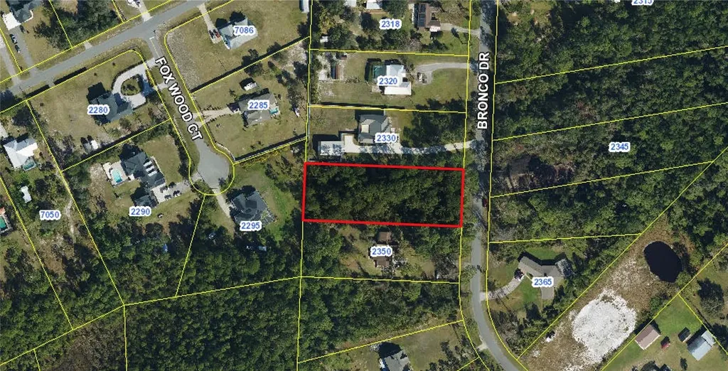 2340 Bronco Drive St Cloud FL 34771
