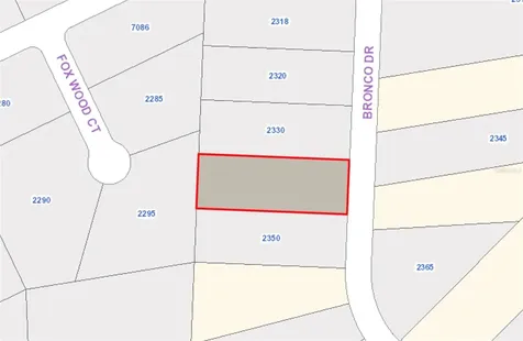 2340 Bronco Drive St Cloud FL 34771