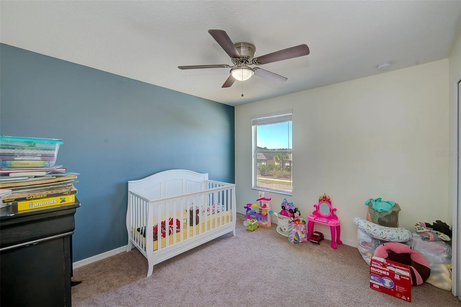 1902 Hawks View Drive Ruskin FL 33570