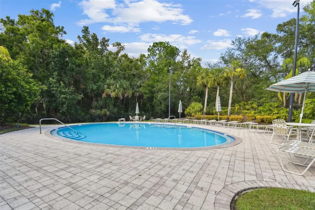 11002 Sundrift Drive Tampa FL 33647