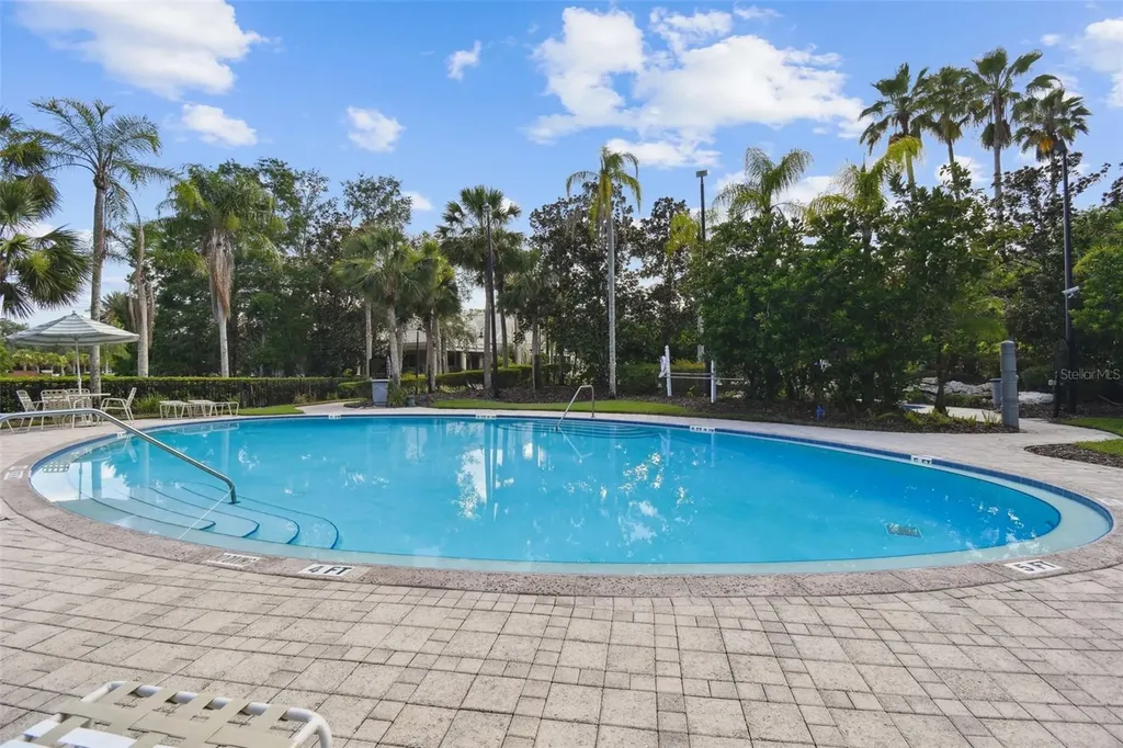 11002 Sundrift Drive Tampa FL 33647