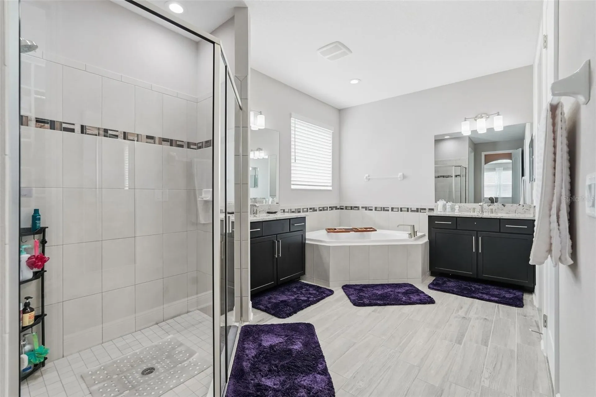 11002 Sundrift Drive Tampa FL 33647