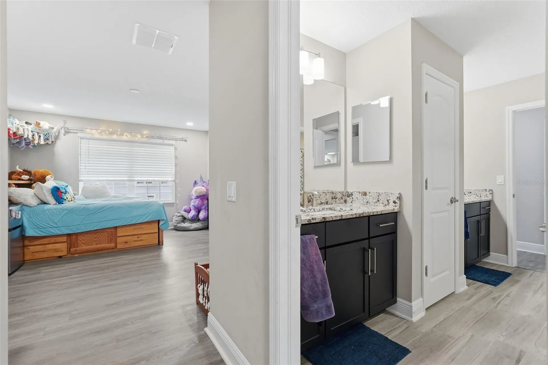 11002 Sundrift Drive Tampa FL 33647