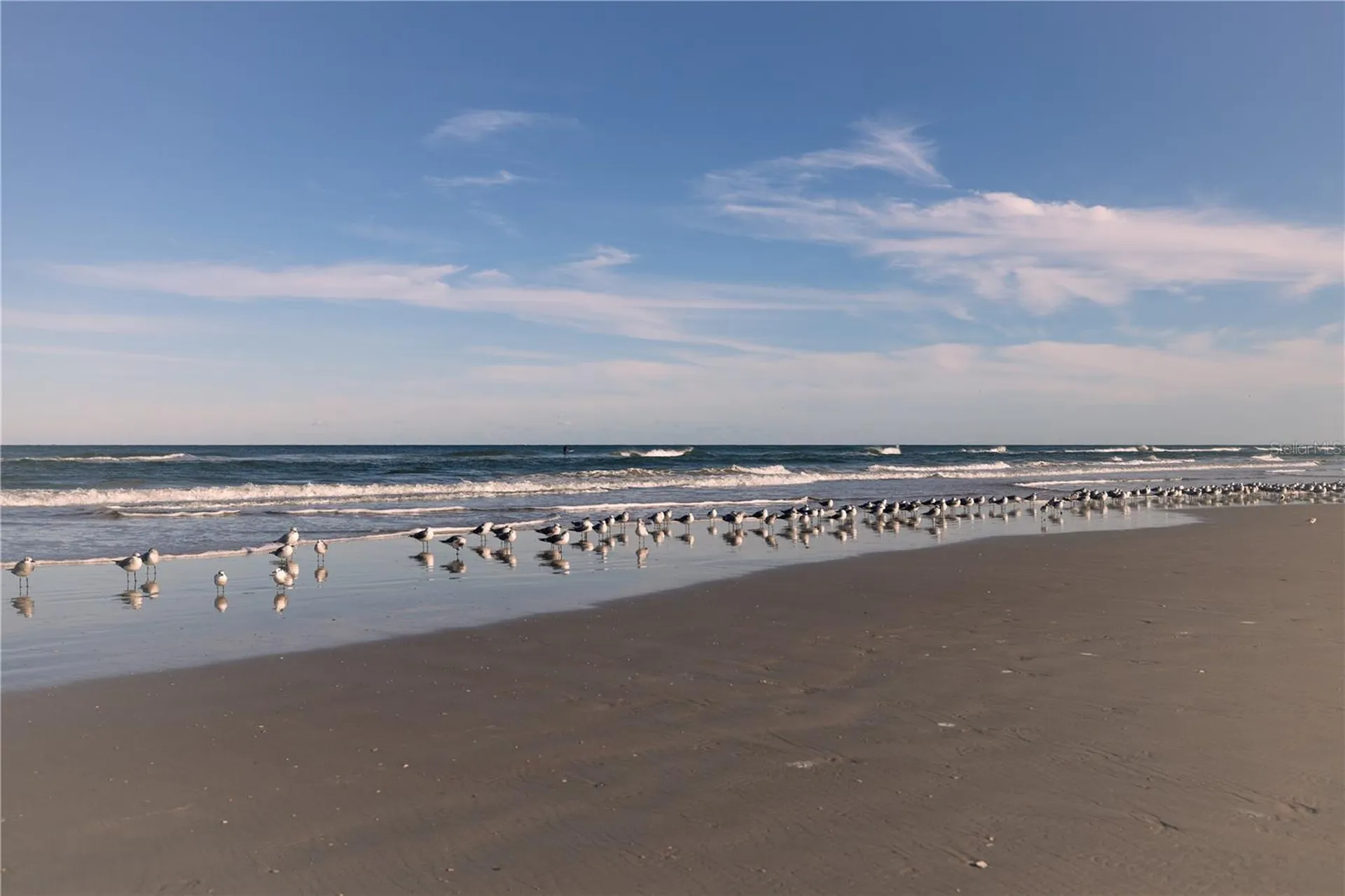 3801 S Atlantic Avenue New Smyrna Beach FL 32169