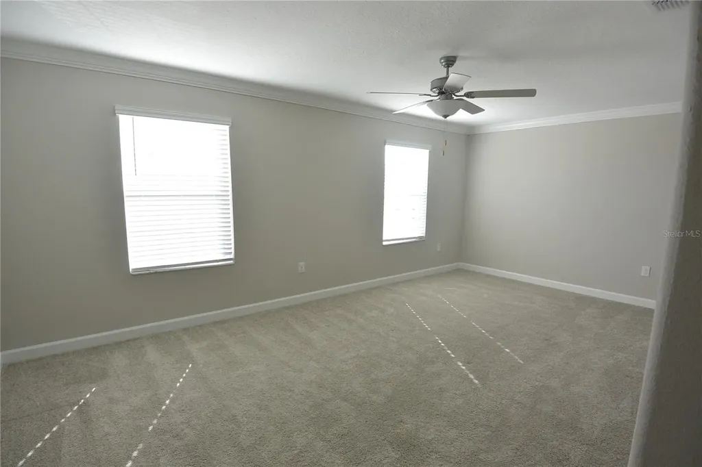 2277 Cerulean Sky Drive Lutz FL 33558