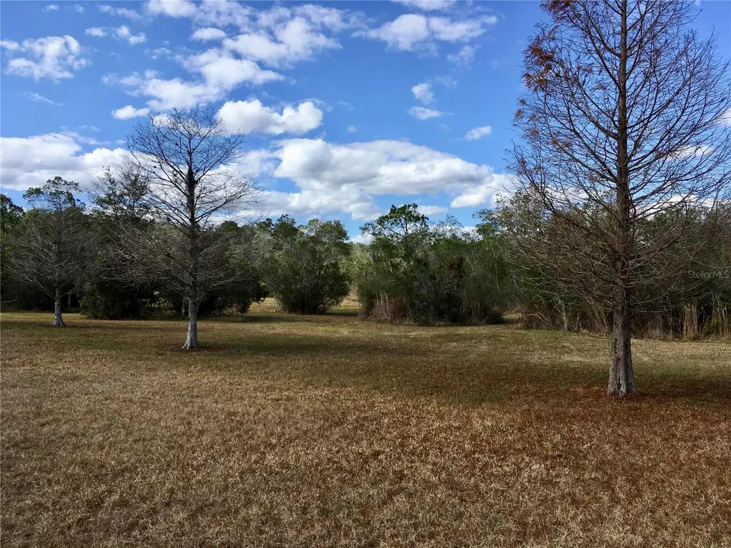 1297 Pfundstein Road Babson Park FL 33827