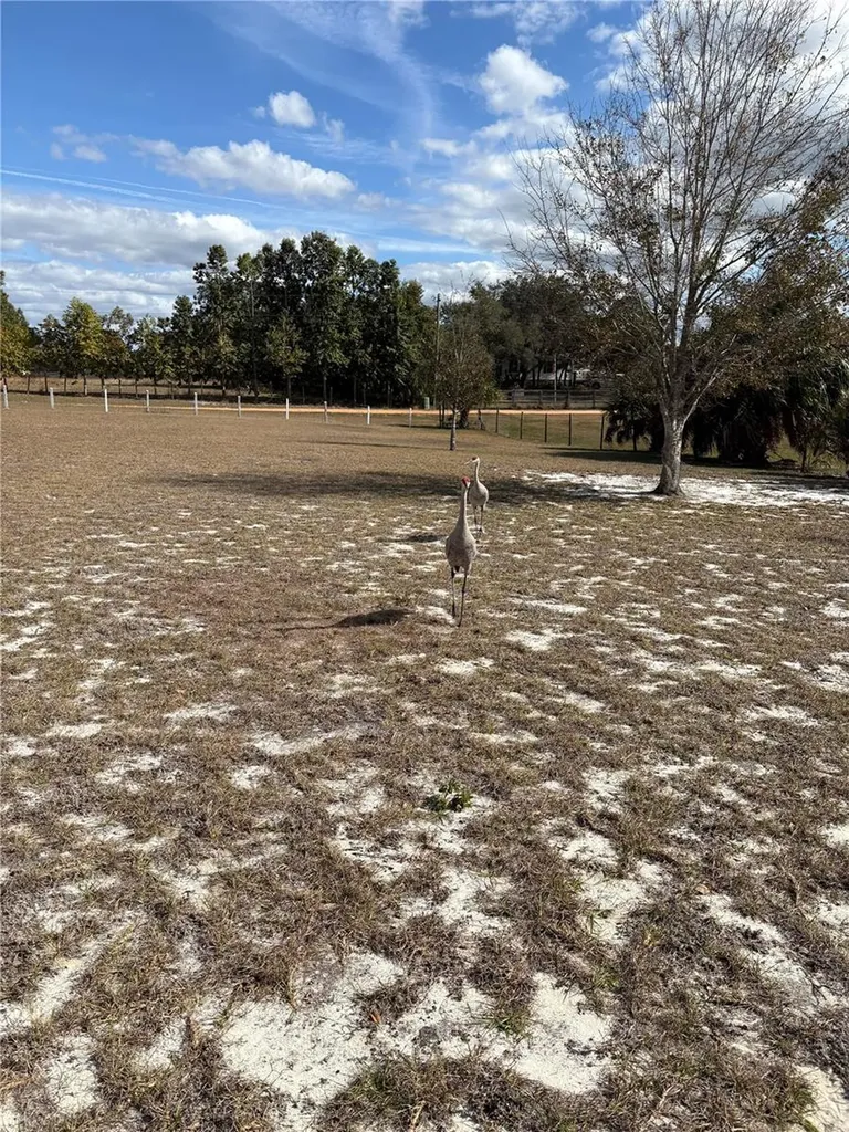 1297 Pfundstein Road Babson Park FL 33827