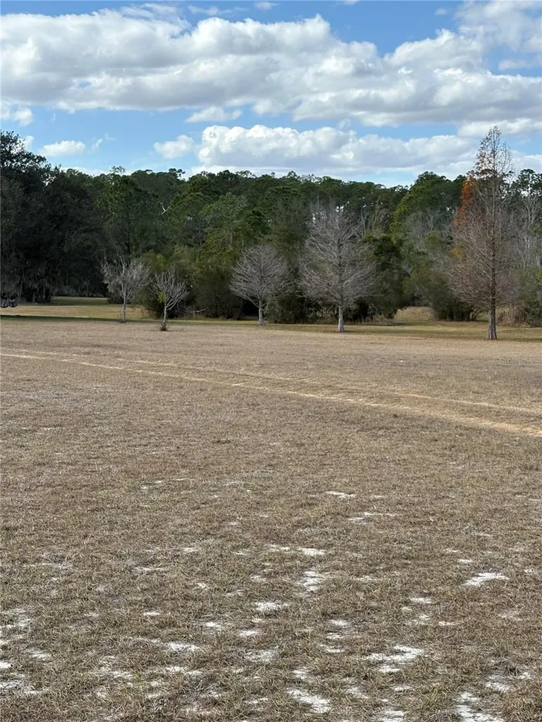 1297 Pfundstein Road Babson Park FL 33827