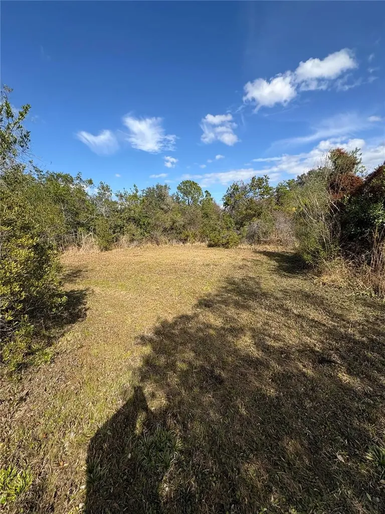 1297 Pfundstein Road Babson Park FL 33827