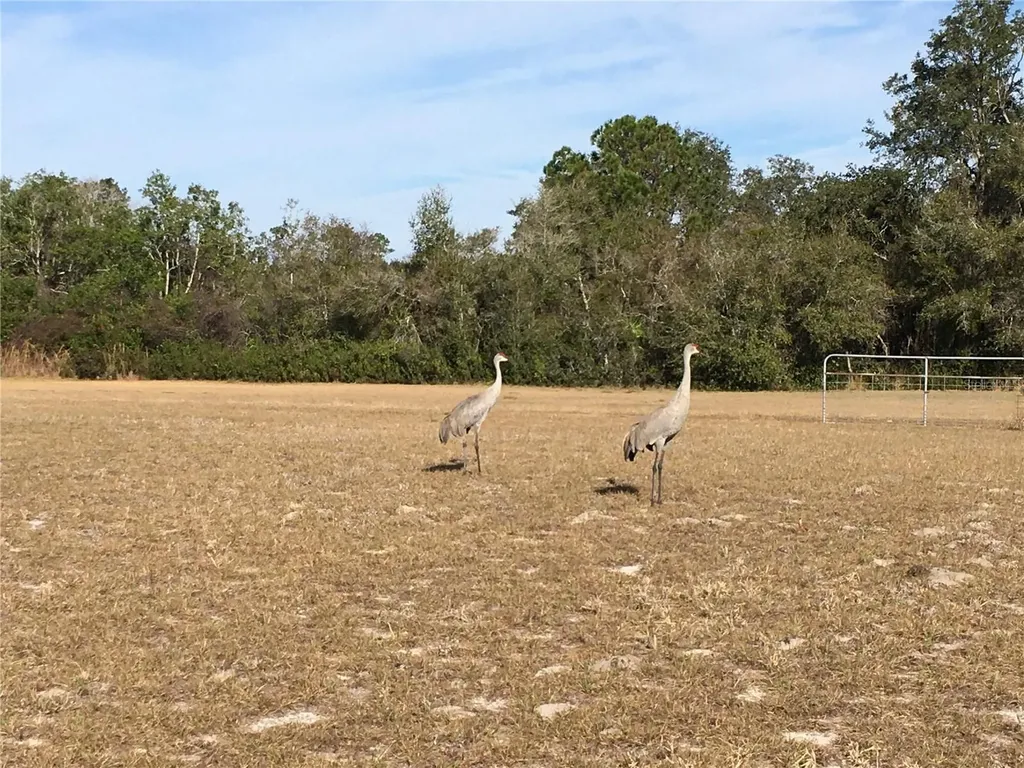 1297 Pfundstein Road Babson Park FL 33827
