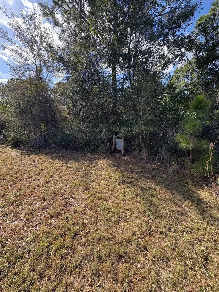1297 Pfundstein Road Babson Park FL 33827