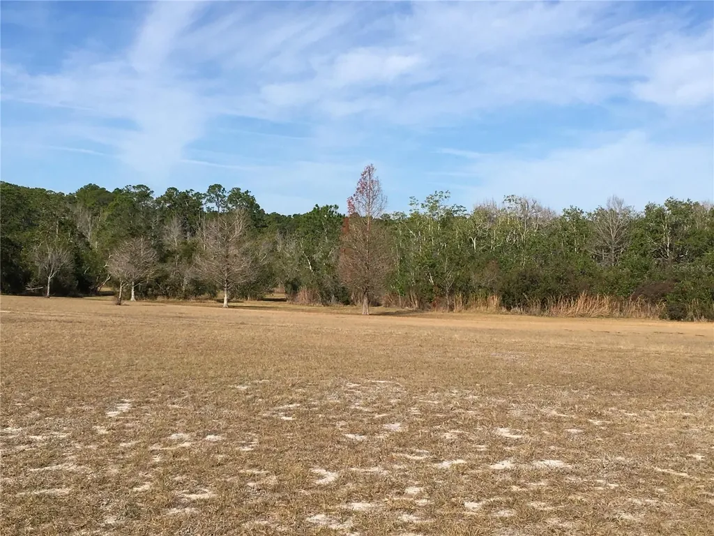 1297 Pfundstein Road Babson Park FL 33827
