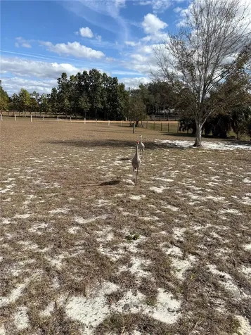 1297 Pfundstein Road Babson Park FL 33827