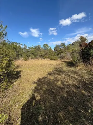 1297 Pfundstein Road Babson Park FL 33827