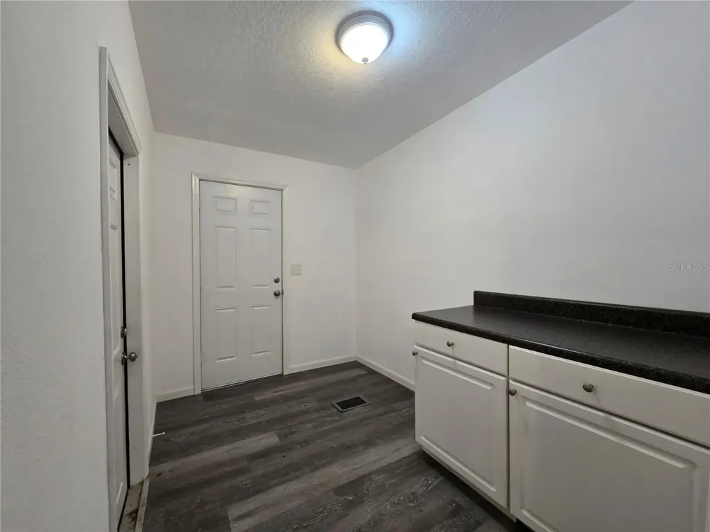 43541 Dixie Drive Paisley FL 32767