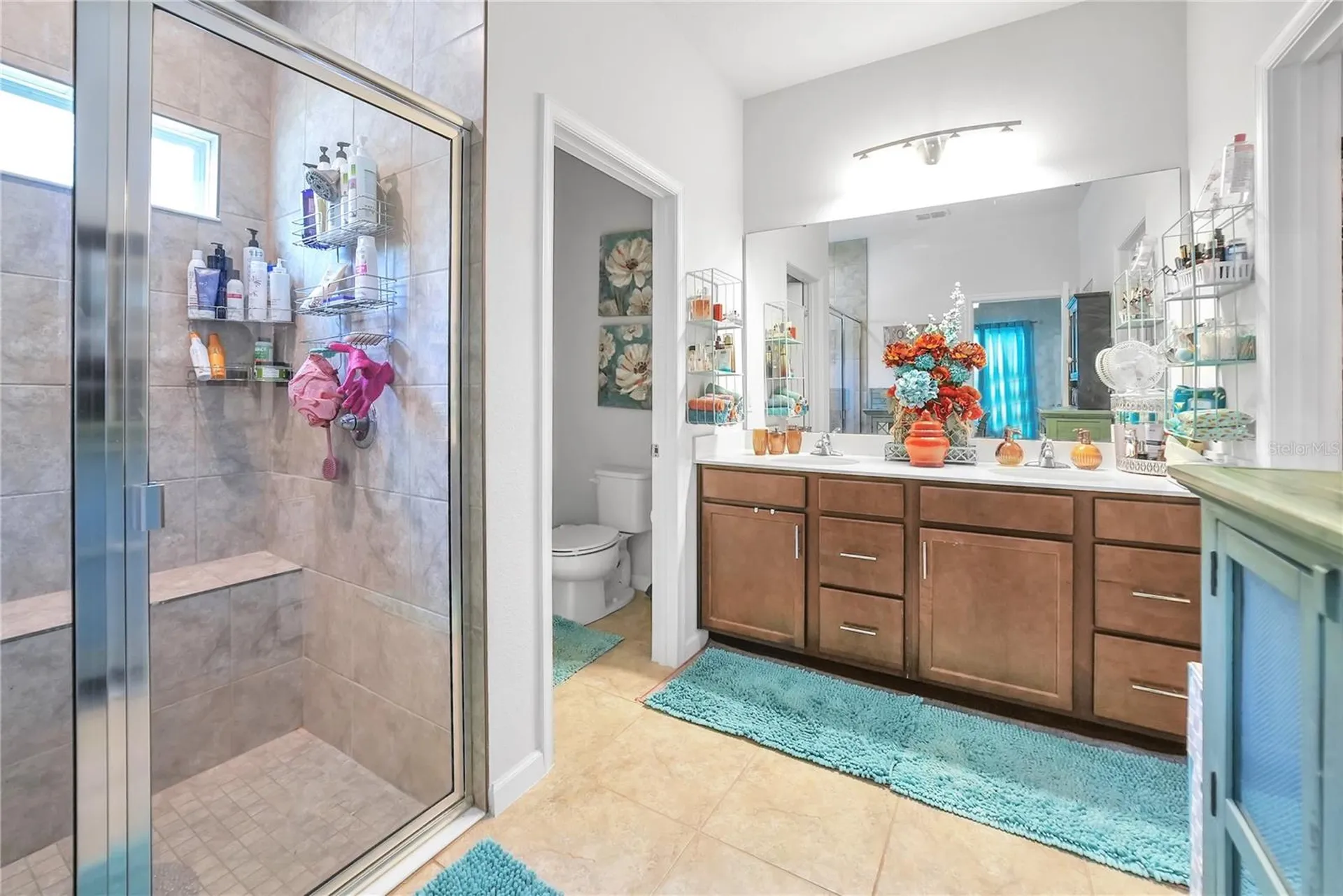 289 Siesta Vista Court Davenport FL 33896