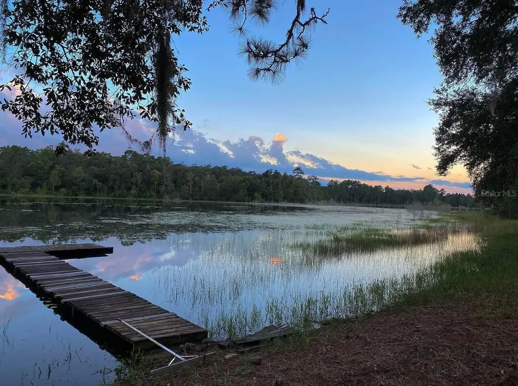 14730 SE 61st Street Road Ocklawaha FL 32179