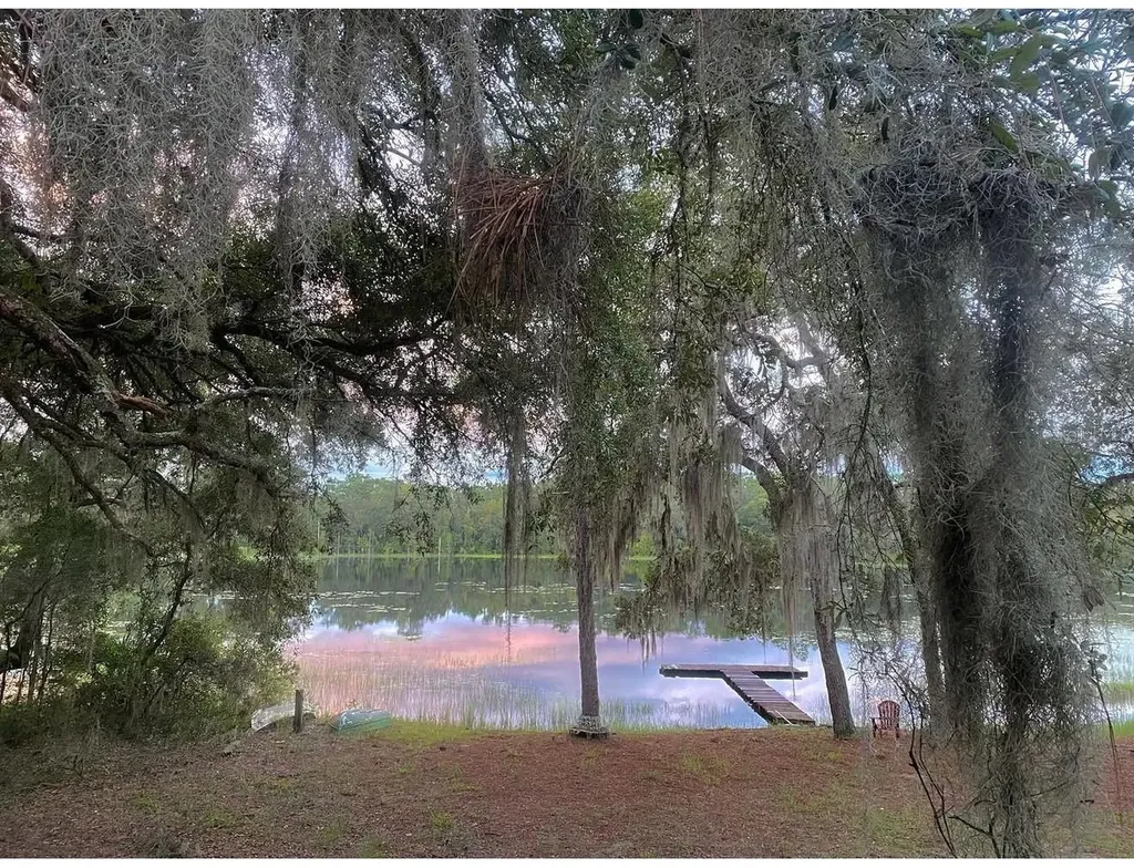 14730 SE 61st Street Road Ocklawaha FL 32179