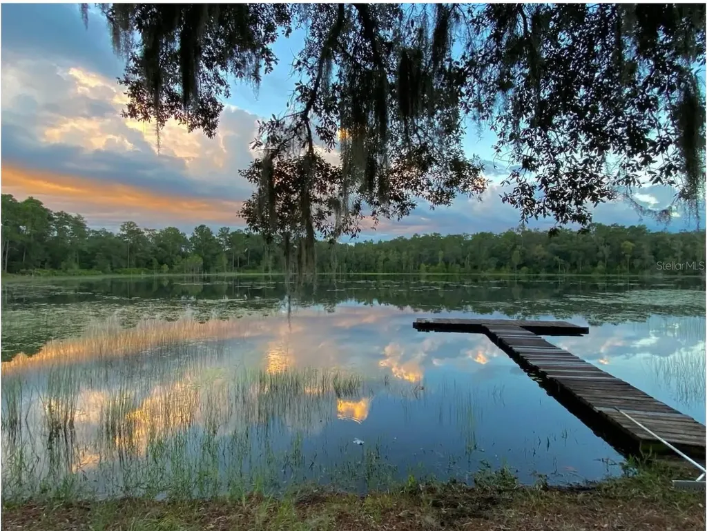 14730 SE 61st Street Road Ocklawaha FL 32179