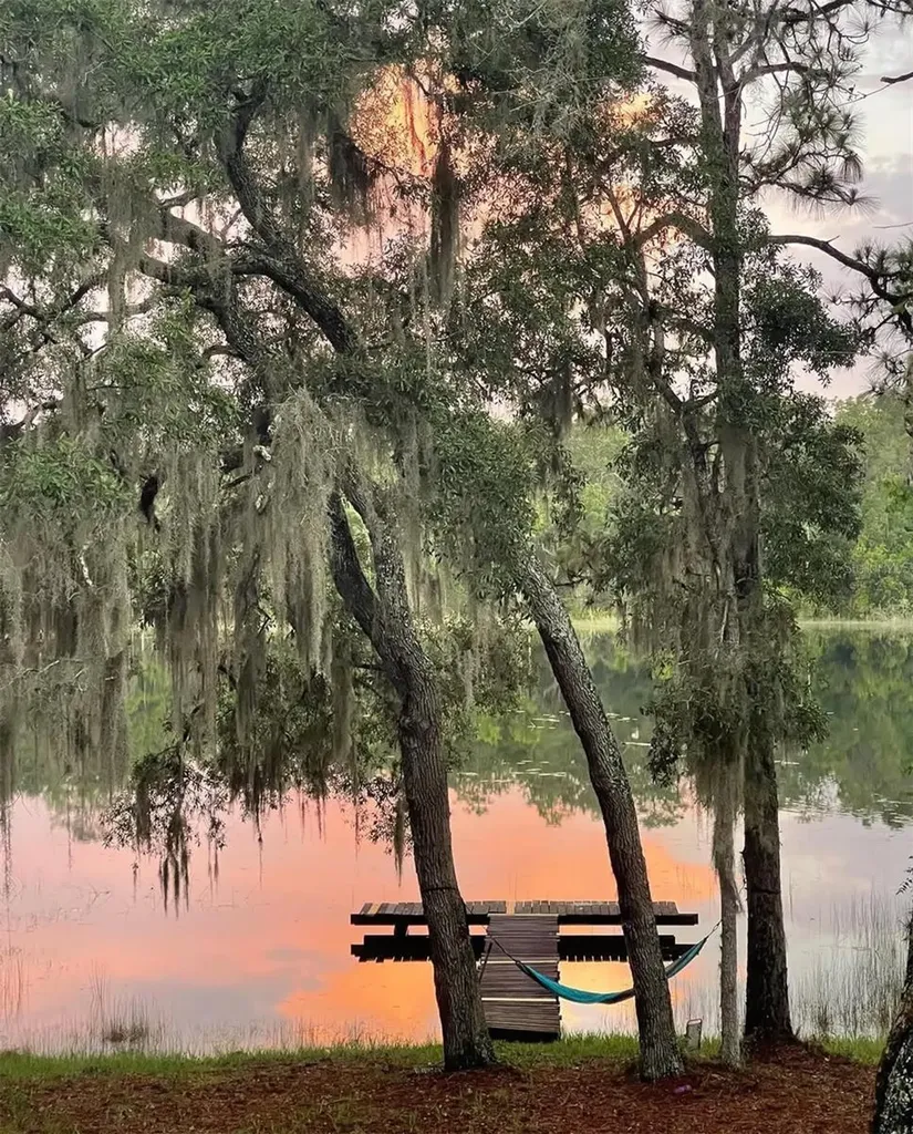 14730 SE 61st Street Road Ocklawaha FL 32179