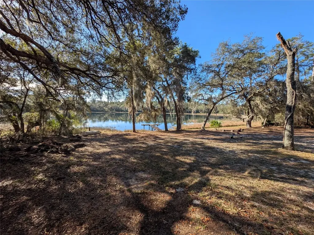 14730 SE 61st Street Road Ocklawaha FL 32179