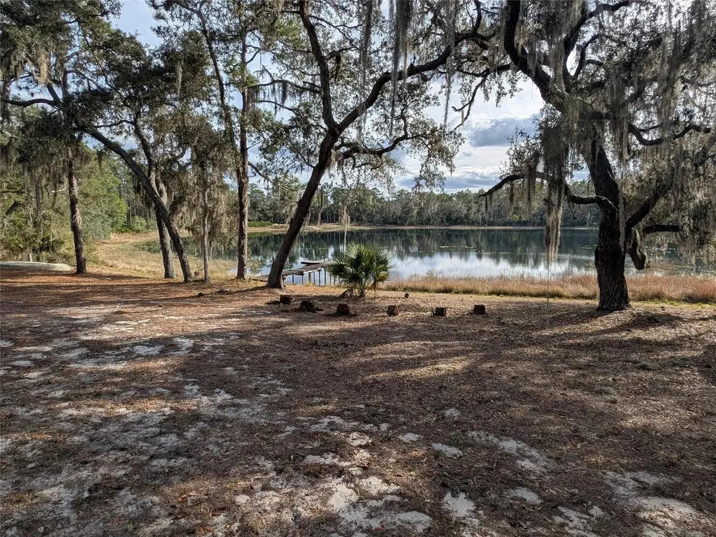 14730 SE 61st Street Road Ocklawaha FL 32179