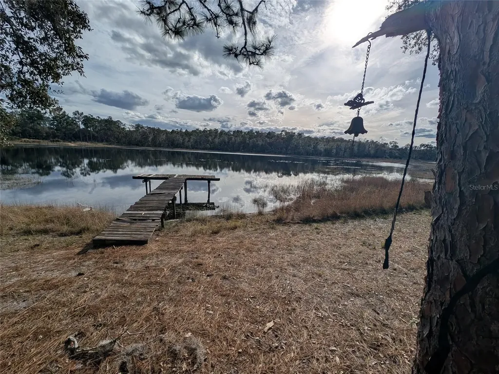 14730 SE 61st Street Road Ocklawaha FL 32179