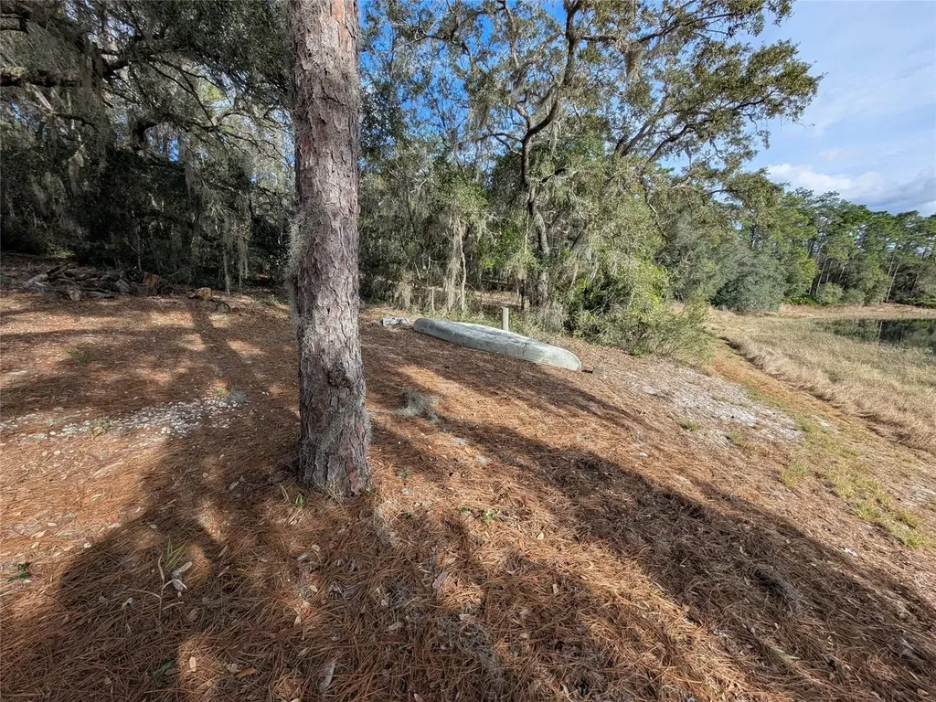14730 SE 61st Street Road Ocklawaha FL 32179