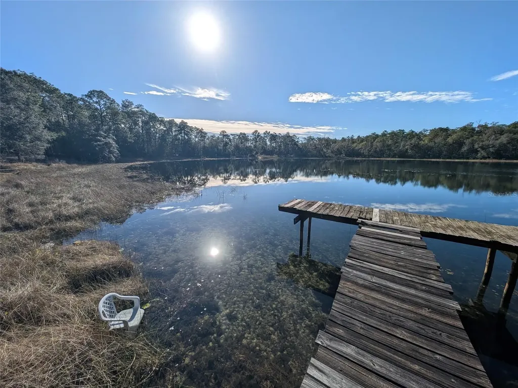 14730 SE 61st Street Road Ocklawaha FL 32179