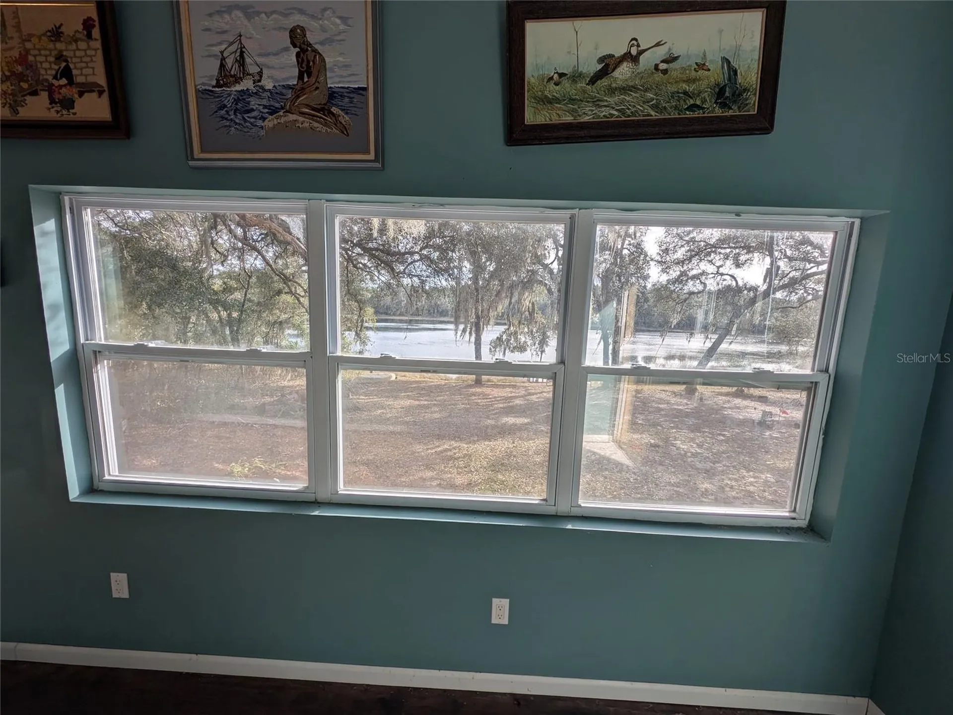 14730 SE 61st Street Road Ocklawaha FL 32179