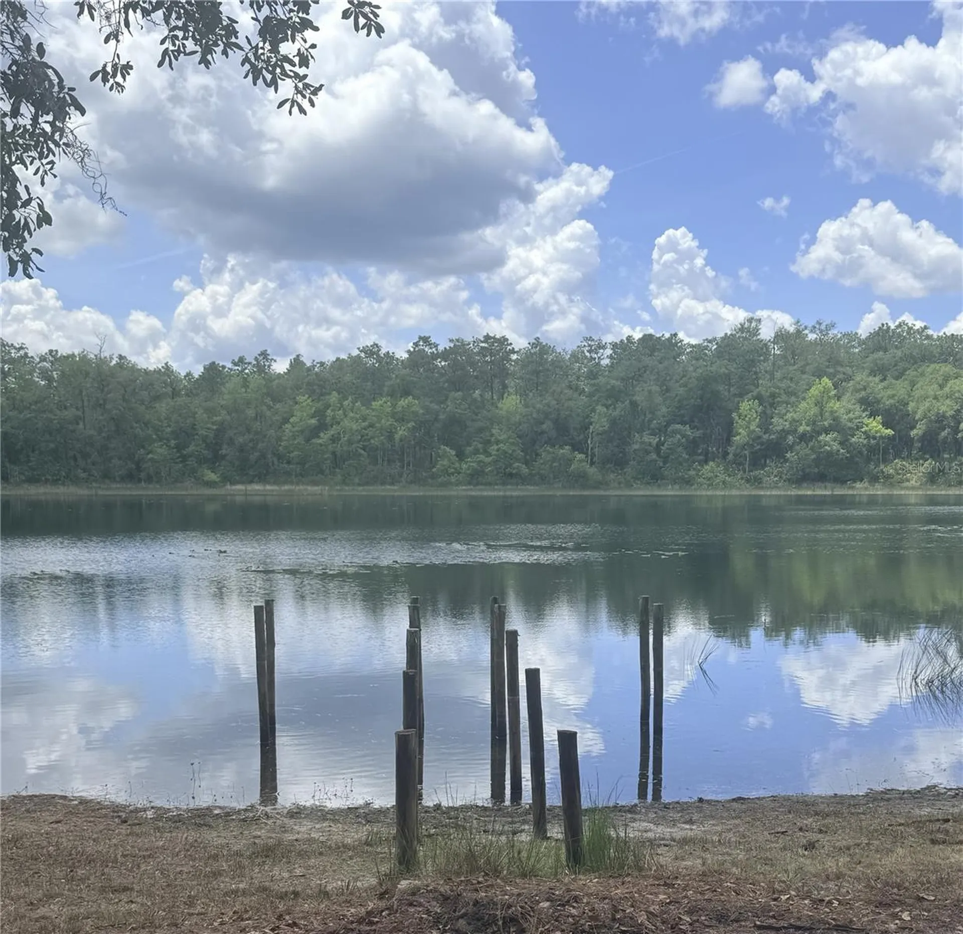 14730 SE 61st Street Road Ocklawaha FL 32179