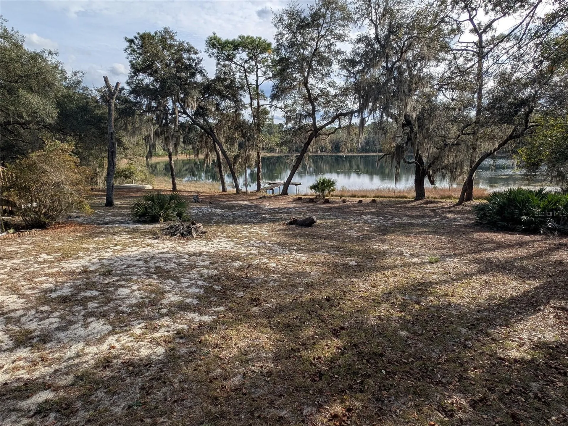14730 SE 61st Street Road Ocklawaha FL 32179